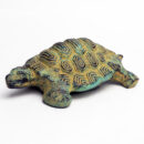 Brass Green Tortoise