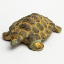 Brass Green Tortoise