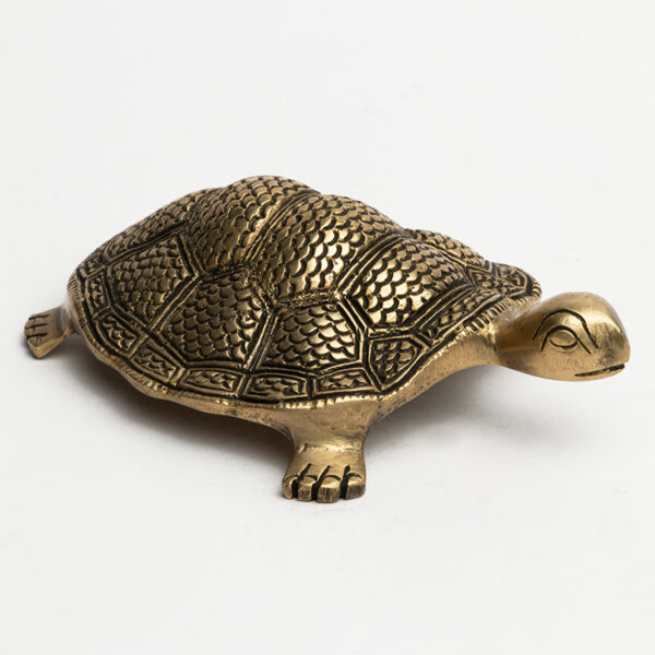 Brass Brown Tortoise Small