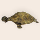 Brass Brown Tortoise