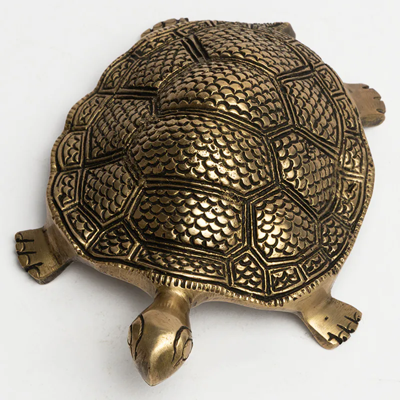 Brass Brown Tortoise Small - Image 3
