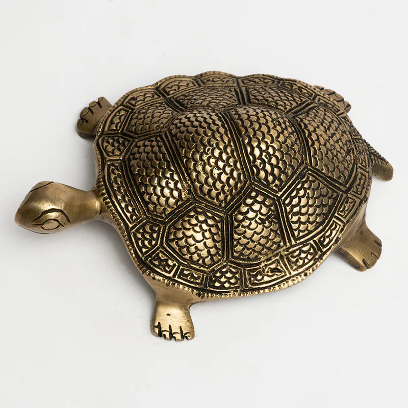 Brass Brown Tortoise Small - Image 2