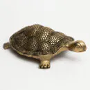 Brass Brown Tortoise Small