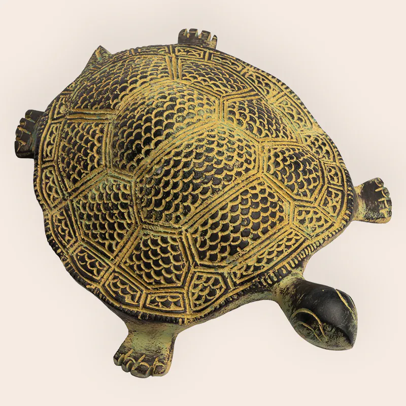 Brass Brown Tortoise - Image 4