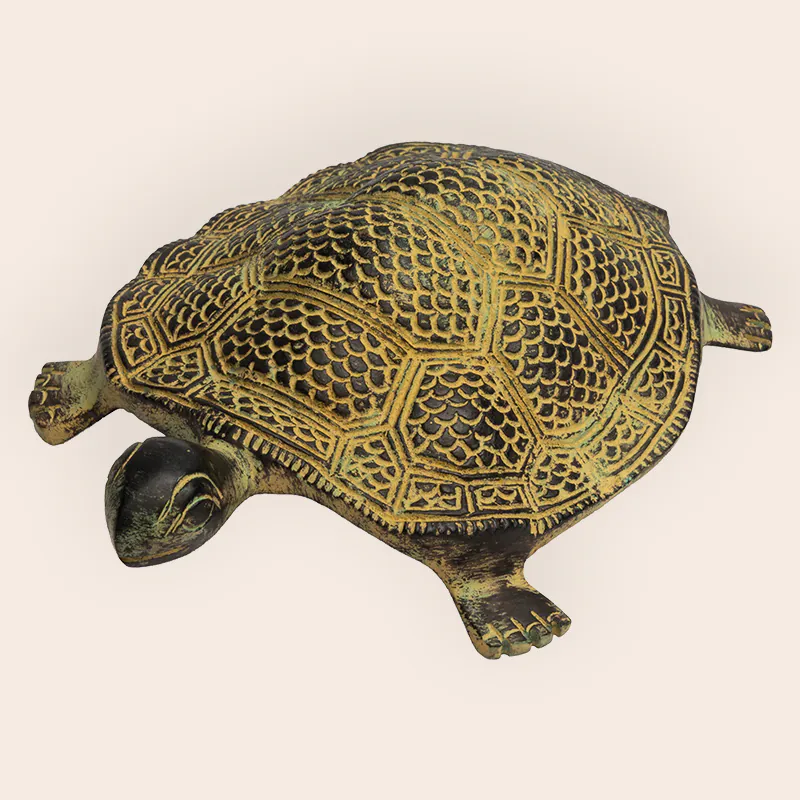 Brass Brown Tortoise - Image 5